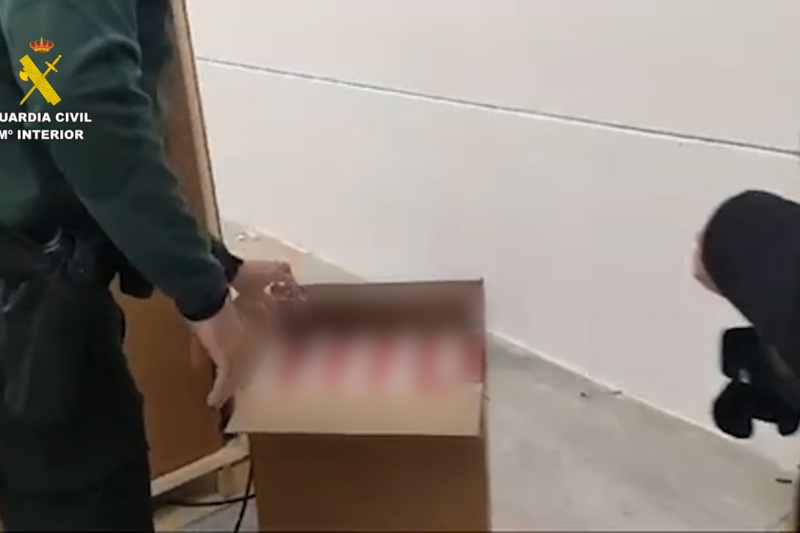 Incautadas más de 890.000 cajetillas de tabaco ilegal en Sevilla