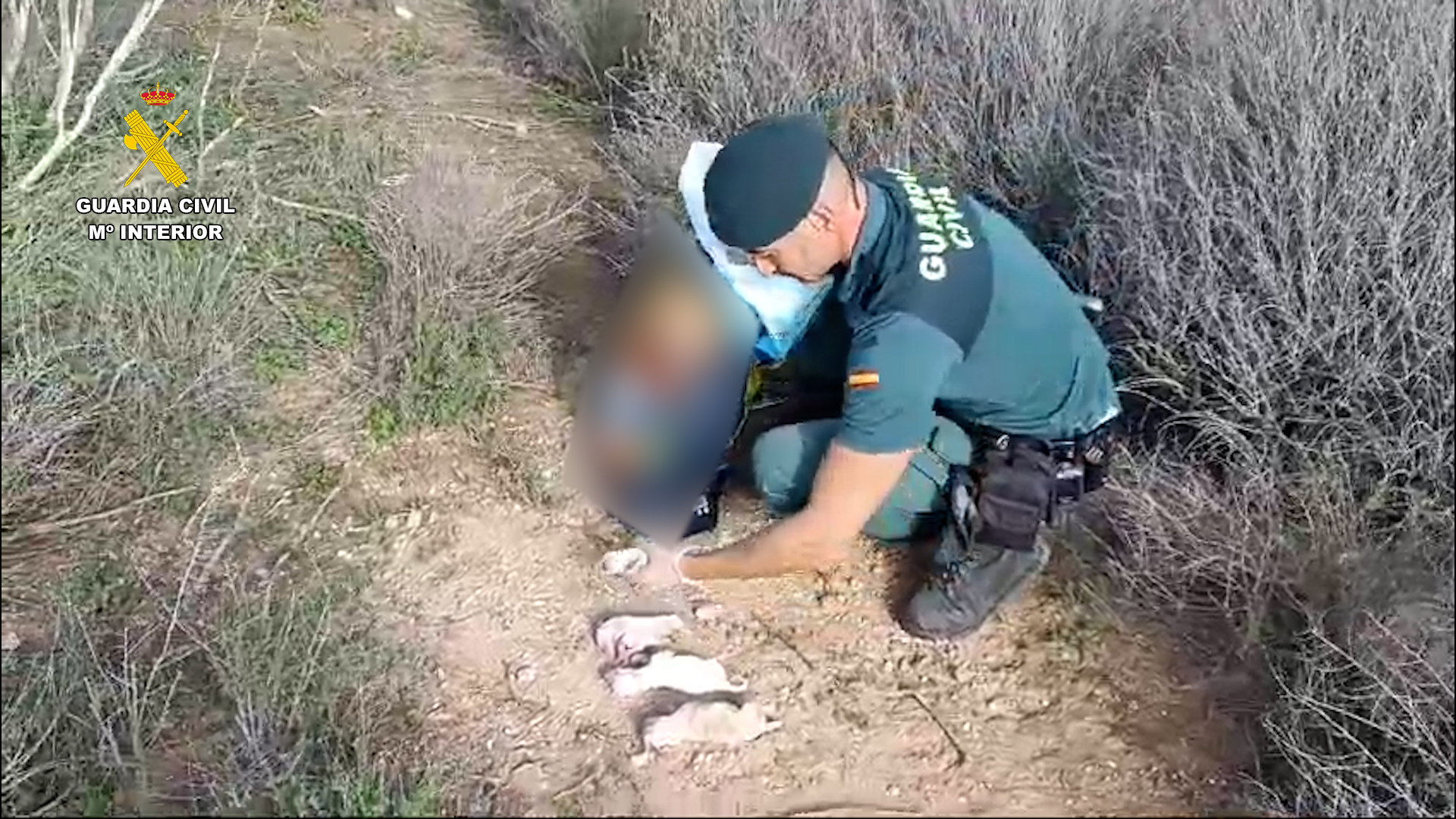Investigado por abandonar seis cachorros en el interior de un saco de pienso