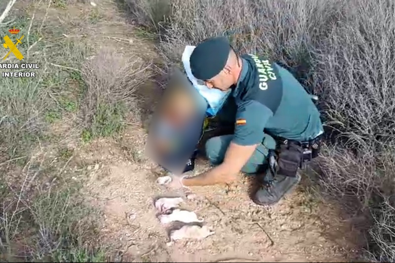 Investigado por abandonar seis cachorros en el interior de un saco de pienso
