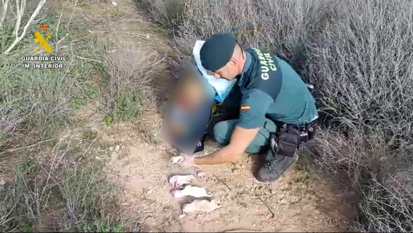 Investigado por abandonar seis cachorros en el interior de un saco de pienso