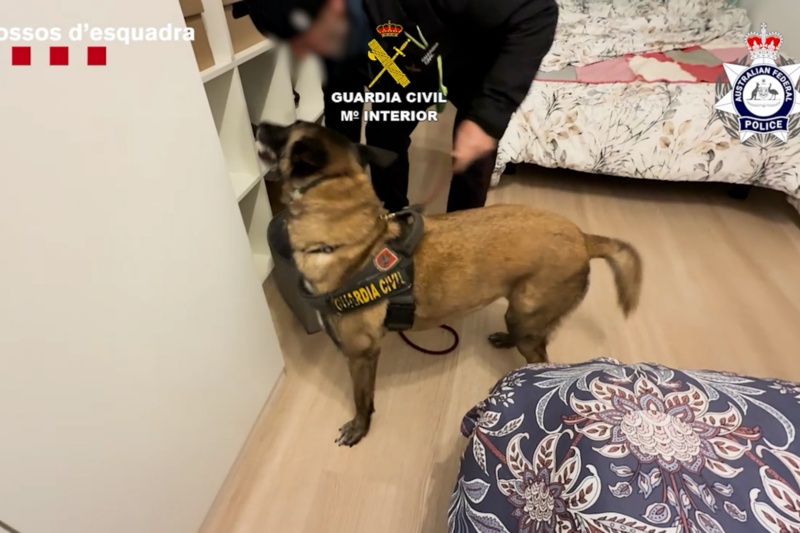 Desarticulado una organización criminal dedicado al tráfico internacional de drogas sintéticas