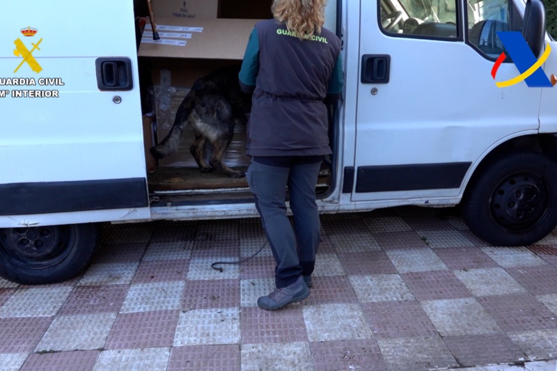 Desarticulada una organización criminal que defraudó 184 millones de euros en materia de IVA en el sector de los hidrocarburos