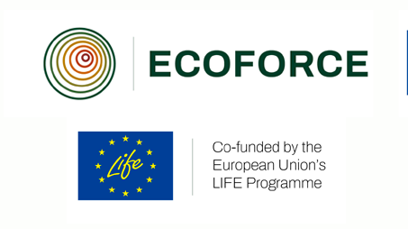 Programa Ecoforce Programa Ecoforce