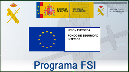 FInanciación Europea. Gestión Directa. Programa FSI