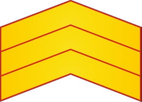 El 22 de junio de 1983 se aprobó el Real Decreto 1970/1983, de 22 de junio, sobre consideración de suboficiales a las clases de tropa de la Guardia Civil. Este tratamiento y consideración se les concede a los guardias civiles a partir de los seis años de servicio ininterrumpidos en el Cuerpo y a los cabos al alcanzar este empleo. No comporta derechos económicos o jerárquicos y, por tanto, no varía las condiciones de subordinación respecto a los componentes del Cuerpo. Con ello, se hizo justicia con los guardias civiles por su abnegación, entrega, constancia y fidelidad en el servicio y se dio satisfacción a un antiguo y noble anhelo de los integrantes del Cuerpo. El reconocimiento externo de esta distinción se plasma en el distintivo de mérito recogido en Orden General número 6/2023, de 9 de mayo, sobre emblemas, divisas y distintivos en la Guardia Civil que regula su descripción, uso y colocación. El 22 de junio de 1983 se aprobó el Real Decreto 1970/1983, de 22 de junio, sobre consideración de suboficiales a las clases de tropa de la Guardia Civil. Este tratamiento y consideración se les concede a los guardias civiles a partir de los seis años de servicio ininterrumpidos en el Cuerpo y a los cabos al alcanzar este empleo. No comporta derechos económicos o jerárquicos y, por tanto, no varía las condiciones de subordinación respecto a los componentes del Cuerpo. Con ello, se hizo justicia con los guardias civiles por su abnegación, entrega, constancia y fidelidad en el servicio y se dio satisfacción a un antiguo y noble anhelo de los integrantes del Cuerpo. El reconocimiento externo de esta distinción se plasma en el distintivo de mérito recogido en Orden General número 6/2023, de 9 de mayo, sobre emblemas, divisas y distintivos en la Guardia Civil que regula su descripción, uso y colocación.